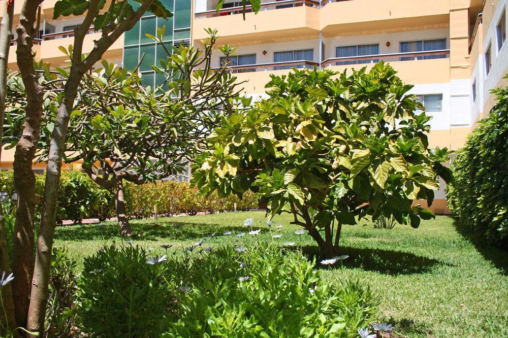 Apartamentos Las Camelias Playa del Inglés Exterior foto